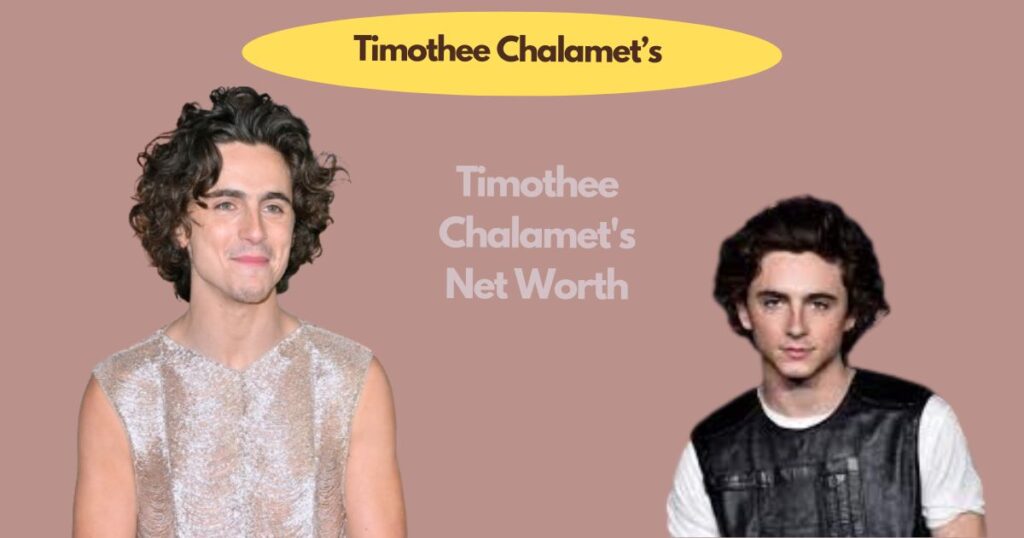 Timothee Chalamet's Net Worth